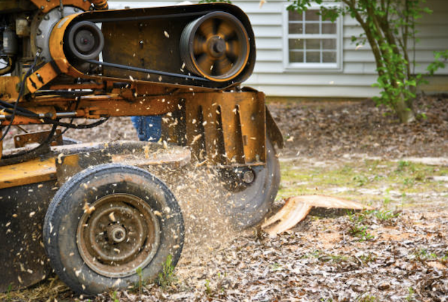 stump grinding berks pa